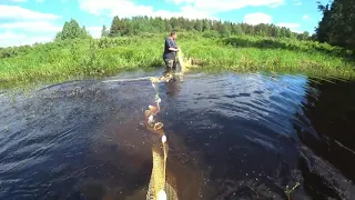 В ЭТОЙ ЛУЖЕ РЫБА ЕСТЬ  РЫБАЛКА НА БРЕДЕНЬ  ЗОЛОТО СЕВЕРА  РЫБАЛКА СЕВЕРА, ДЕДОВСКИМ СПОСОБОМ!