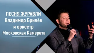 Песня Журавли  Владимир Брилёв и оркестр Московская Камерата.