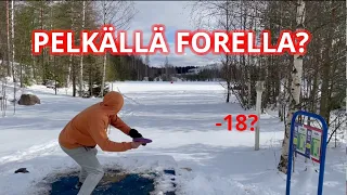 Parigolfia Pelkällä Kämmenellä  ||  ft. Teemu Talikainen ja Miro Ryhänen