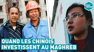 QUAND LES CHINOIS INVESTISSENT AU MAGHREB (Algérie) - L'Effet Papillon