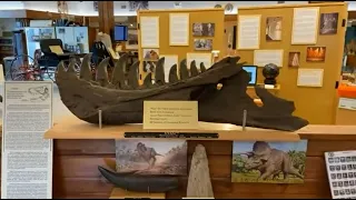 Dakota Life | The Dinosaurs of Harding County