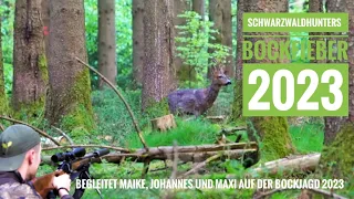 Bockjagd 2023 | 3 Jäger 3 Böcke | Mythos Waldbock | passt er oder nicht? | Schwarzwaldhunters