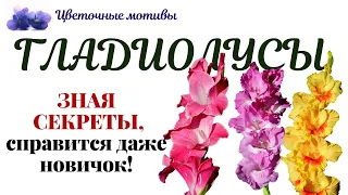 Гладиолусы: посадка, выращивание, размножение, цветы. ВСЕ ТОНКОСТИ и СЕКРЕТЫ в одном видео!