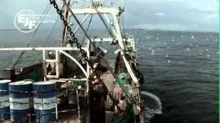 Deadly Catch - the impacts of illegal fishing in West Africa