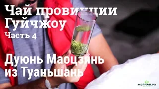 Чай Мао Цзедуна. Дуюнь Маоцзянь из Туаньшань. Чай из Гуйчжоу, часть 4