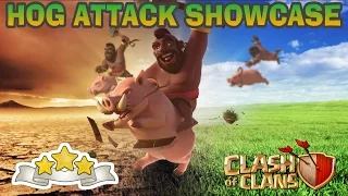 HOG ATTACK SHOWCASE-CLASH OF CLANS