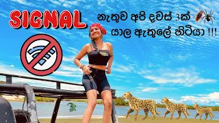 **𝐒𝐈𝐆𝐍𝐀𝐋** නැතුව අපි දවස් 3ක් යාල Park එක ඇතුලේ හිටියා !!!!😰😰 **MILLION BUGS**