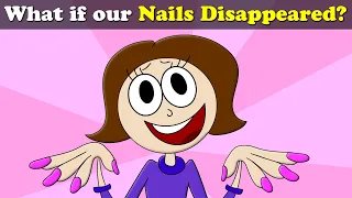 What if our Nails Disappeared? + more videos | #aumsum #kids #science #education #children