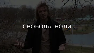 Свобода воли: свобода выбора или все предрешено?