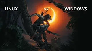 Shadow of the Tomb Raider Linux Steam Play Proton 3.7-7 beta dxvk 0.80 VS  Windows 10 8700K GTX1080