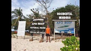 Apo Reef Natural Park | Occidental Mindoro