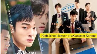 High School Return of a Gangster(2024) Kdrama Explained In Hindi | Cast | Release Date