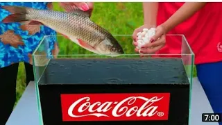 Эксперимент: Рыба против 1000 Ментос против Кока-Колы!