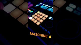 MASCHINE #youtubeshorts #nativeinstruments #maschinestudio