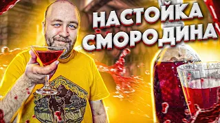 Настойка черная смородина . Настойка вкус лета. Настойка на смородине методом СуВид