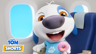 ✈️ Pilot Hank & More 😳 Talking Tom Shorts