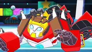 Animal Anarchy | Full Episodes | Rescue Bots Academy | Transformers Kids