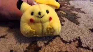 Pikapoo