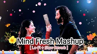 Mind Fresh Mashup 2024|Lo-Fi|Slow Reverb mashup|Love mashup#mashup#lofimusic  #arijitsingh