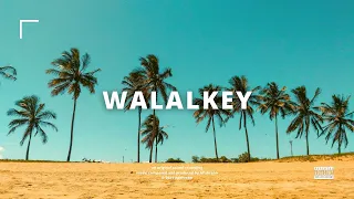 (SOLD) Afrobeat x Dancehall - "WALALKEY" | Afro Summer Type Beat 2021