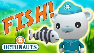 Octonauts - Learn about Fish | Cartoons for Kids | Underwater Sea Education