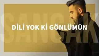 Sancak - Dili Yok ki Gönlümün (Feat. Gitar Barış)