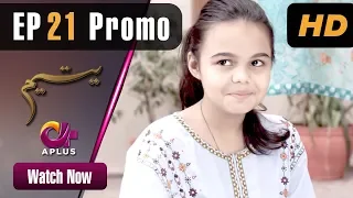 Pakistani Drama | Yateem - Episode 21 Promo |  Aplus | Sana Fakhar, Noman Masood, Maira Khan| C2V1