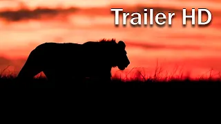 Prey / Kalahari (2024) - Official HD Trailer
