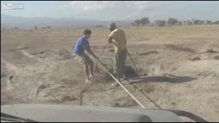 Трогательное и волнительное видео спасения слонёнка, упавшего в яму  (Кения)