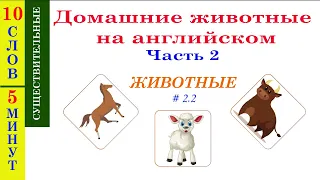 Домашние животные на английском. Часть 2 - Учим название животных на английском