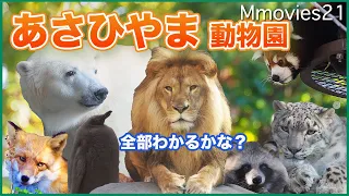 Beautiful autumn leaves and animals   Asahiyama Zoo 2021