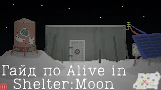 Гайд по Alive in Shelter:Moon! Alive in Shelter. Гайд!