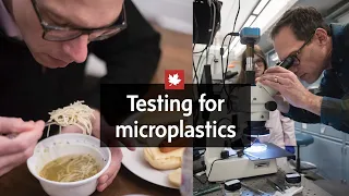 Searching for microplastics within the human body