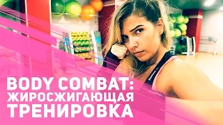 Body Combat: жиросжигающая тренировка [Фитнес Подруга]