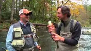 Episode 4  - The Western North Carolina Fly Fishing Trail - Anglers & Appetites