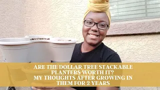 Are The Dollar Tree Stackable Planters Worth It?  My Thoughts After Growing In Them For 2 Years