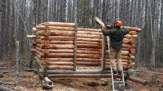 Spring time at the off grid log cabin - log sauna walls are up and ridge poll is up!