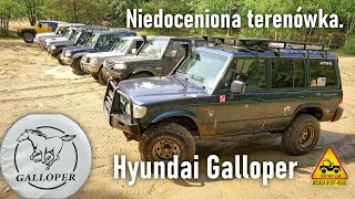 Niedoceniona terenówka. Hyundai Galloper w Terenwizji