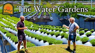 Managing a Hydroponic Herb Farm: The Water Gardens Tour