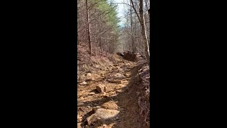 Appalachian BushWhackers! atv full send and a slice of Tennessee Windrock