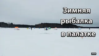 Первый лед 2024. Зимняя рыбалка в палатке.