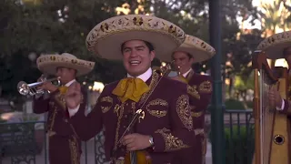 El Son del Perro - Mariachi Los Camperos