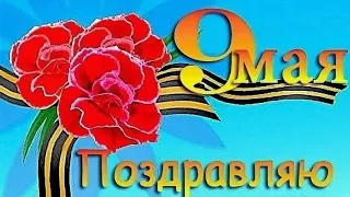 С ПРАЗДНИКОМ! Служебные собаки ВОВ. Праздничный привет от Сати. Киса ищет дом! Мила едет вГерманию.