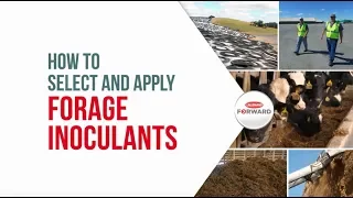 How to Select and Apply Forage Inoculants