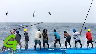 Catching tuna Maldivian style - Greenpeace