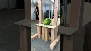 Guillotine vs watermelon 🍉