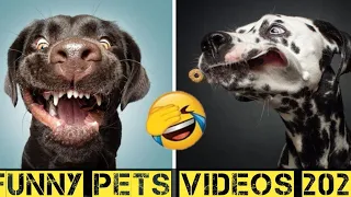 new funny video 2023 😍 cutest cats 😺 and dogs 🐶 video part 38 | try not to laugh