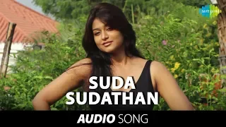 Nagaraja Cholan MA MLA | Suda Sudathan song | Sathyaraj | Manivannan