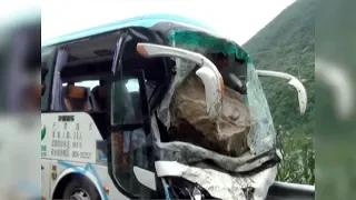 Chinese bus driver dies after saving 37 passengers in his final moments