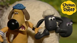 Shaun the Sheep 🐑 Funky Shaun! - Cartoons for Kids 🐑 Full Episodes Compilation [1 hour]